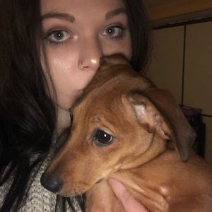 Meet your Posher, Grace